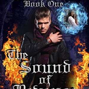 The Twisted Beginning Series: The Sound of Revenge